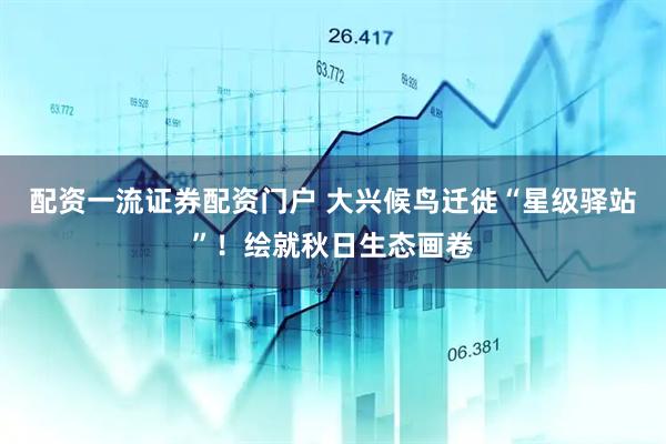 配资一流证券配资门户 大兴候鸟迁徙“星级驿站”！绘就秋日生态画卷