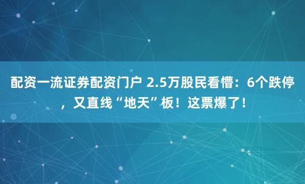 配资一流证券配资门户 2.5万股民看懵：6个跌停，又直线“地天”板！这票爆了！